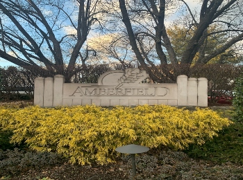 Amberfield Townhomes