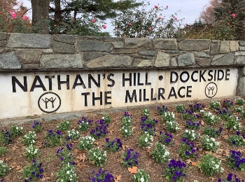 Dockside Townhomes