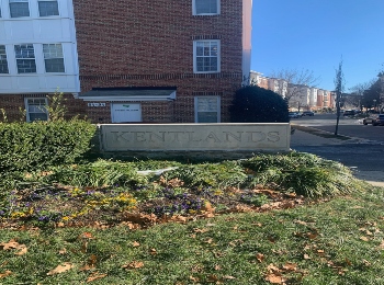 Kentlands Homes, Townhomes, and Condominiums