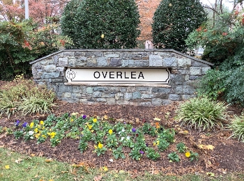 Overlea Townhomes