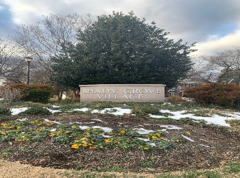 Shady Grove Village Townhomes