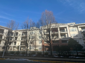 The Colonnade Condominiums